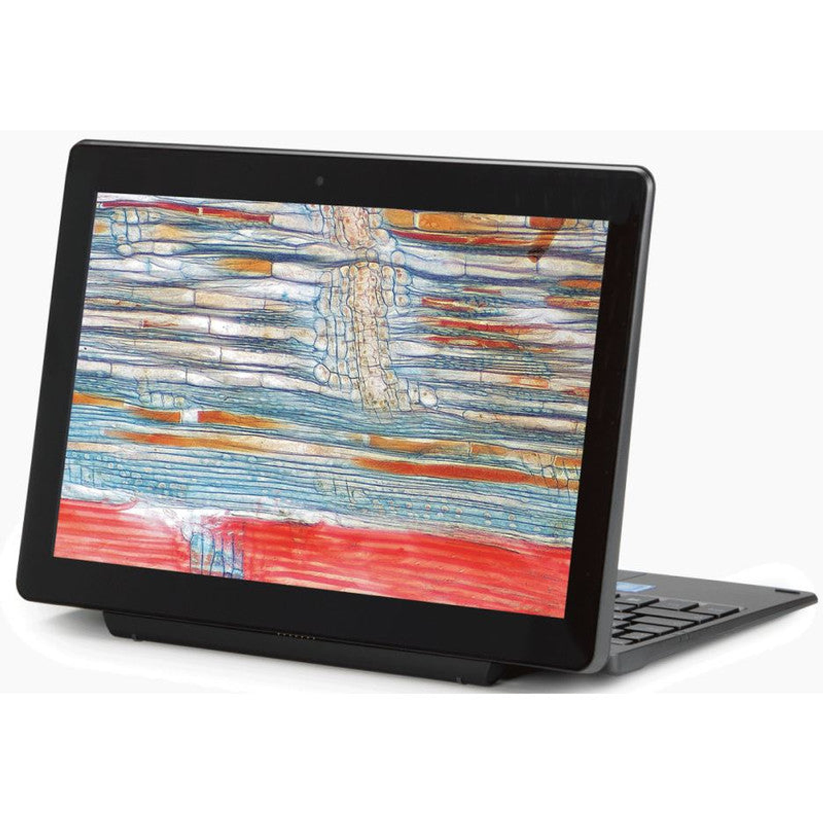 Caméra pour microscope 2,1 MP ProPad-2 avec tablette tactile HD