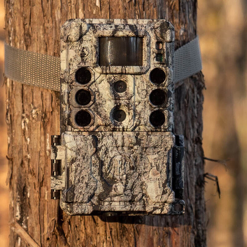 Caméra Animalière Bushnell 73764 pour Exploration en Forêt