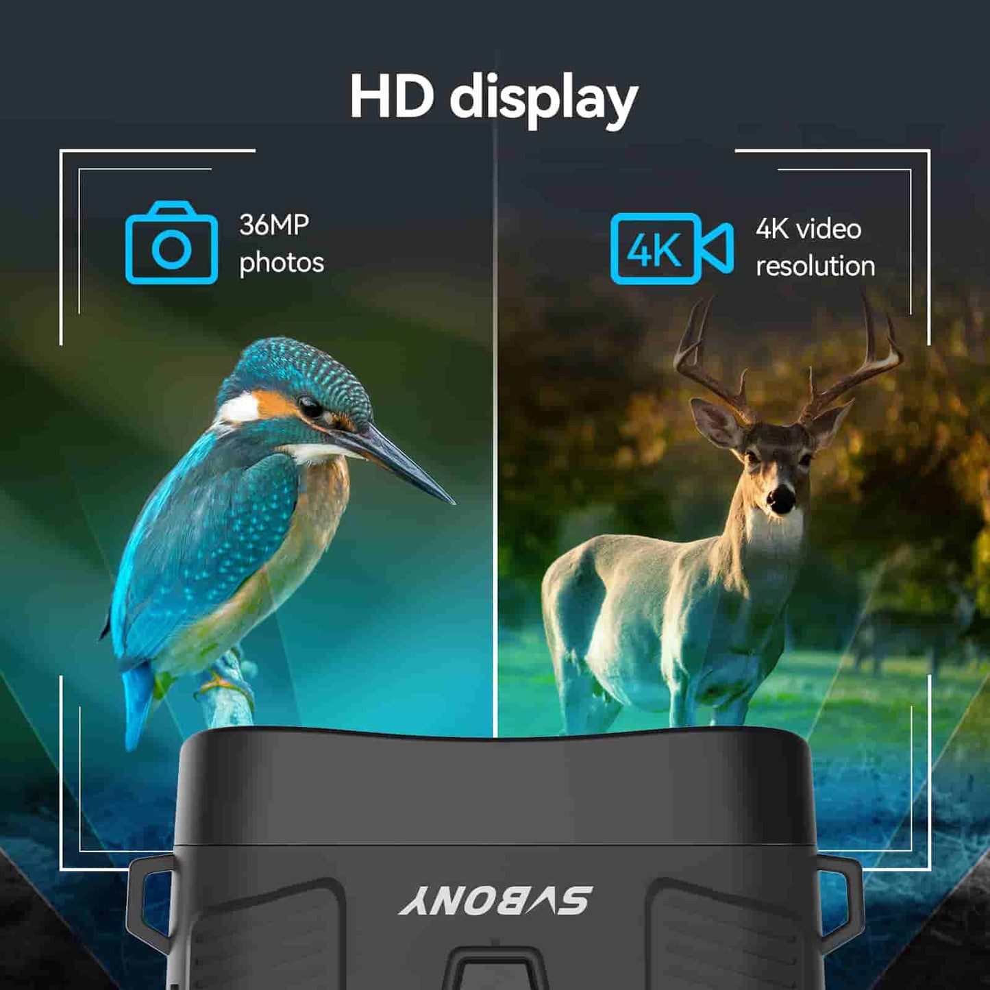 Jumelles de vision nocturne 4K SA206 pour chasse et exploration - SVBONY