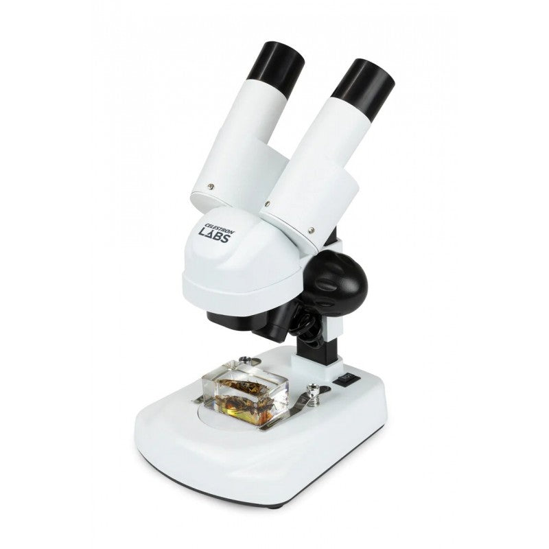 Loupe Binoculaire Labs S20 Stéréo pour Exploration en Nature - Celestron