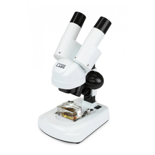 Loupe Binoculaire Labs S20 Stéréo pour Exploration en Nature - Celestron