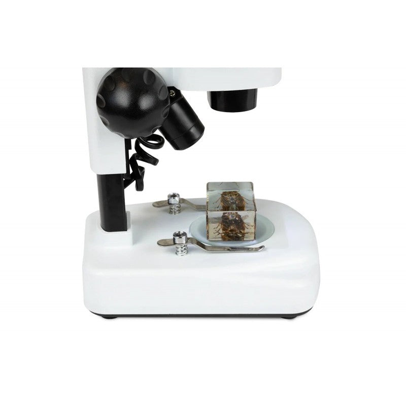 Loupe Binoculaire Labs S20 Stéréo pour Exploration en Nature - Celestron