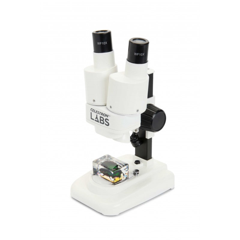 Loupe binoculaire Labs S20 Stéréo - Celestron