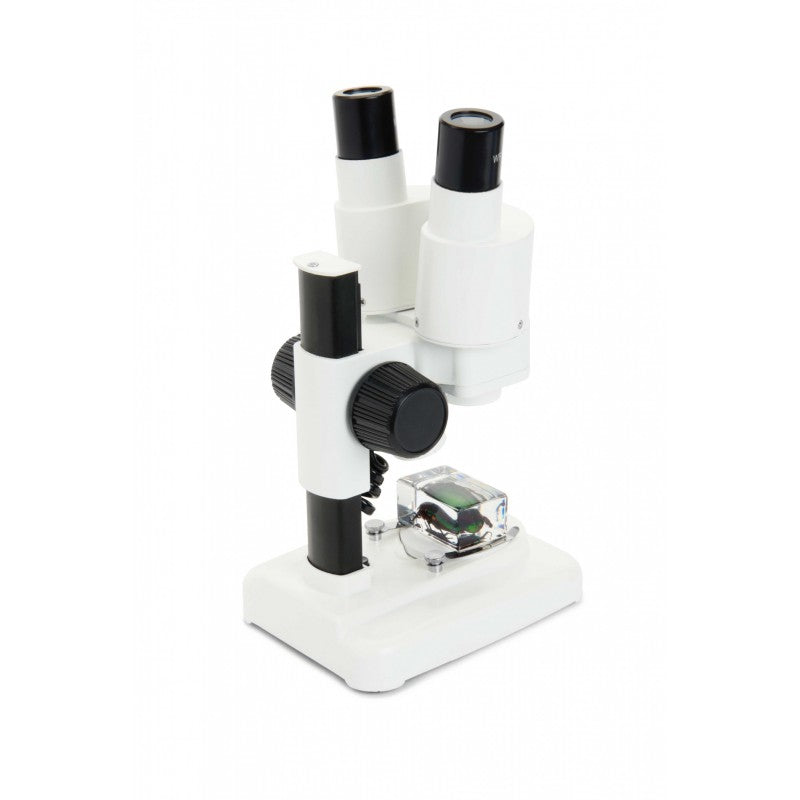 Loupe binoculaire Labs S20 Stéréo - Celestron