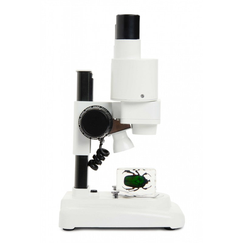 Loupe binoculaire Labs S20 Stéréo - Celestron