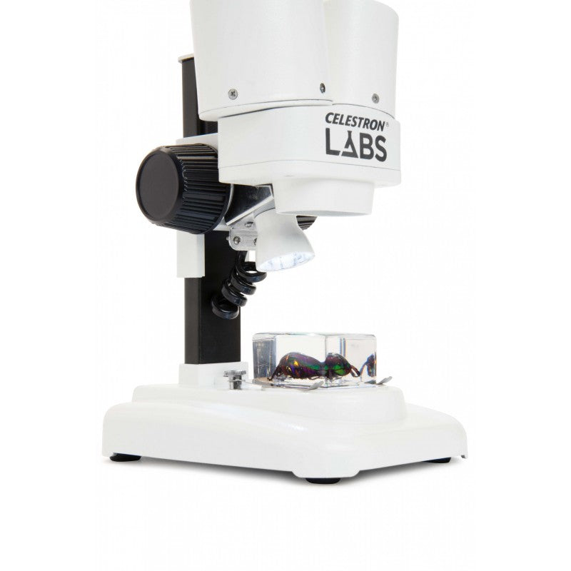 Loupe binoculaire Labs S20 Stéréo - Celestron