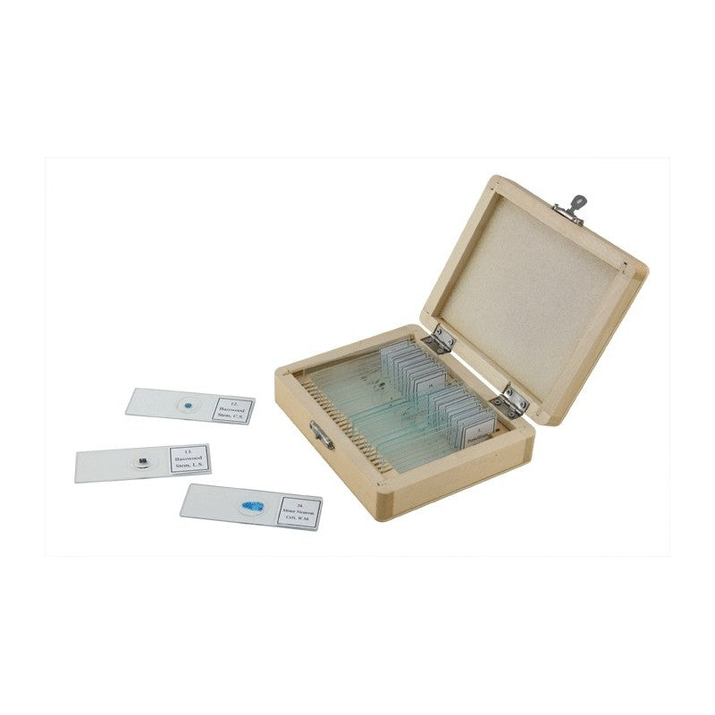Ensemble de lames préparées pour microscope - Celestron