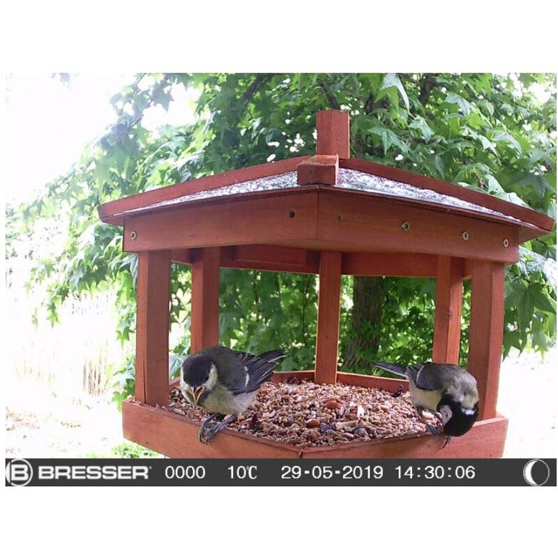 Caméra d’Observation SFC-1 Bresser pour Petits Animaux et Oiseaux