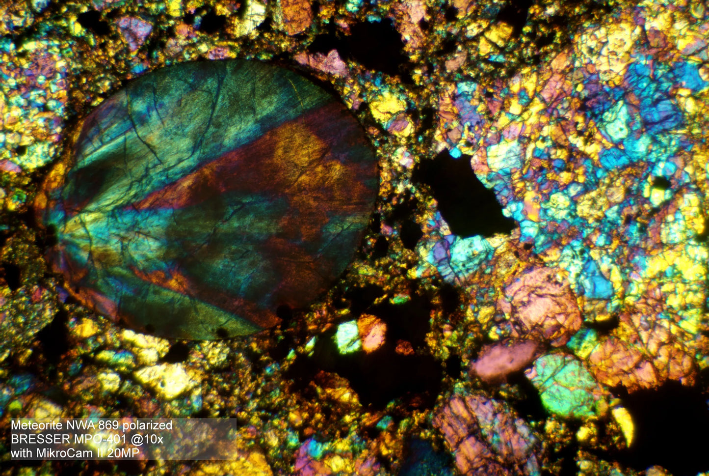 Caméra de Microscope 1’’ 20 MP MikroCam II - BRESSER