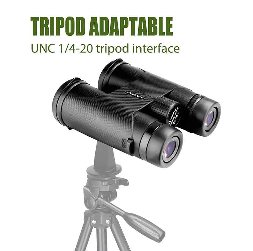 Jumelles 10x42 compactes SA202 pour les aventuriers - SVBONY