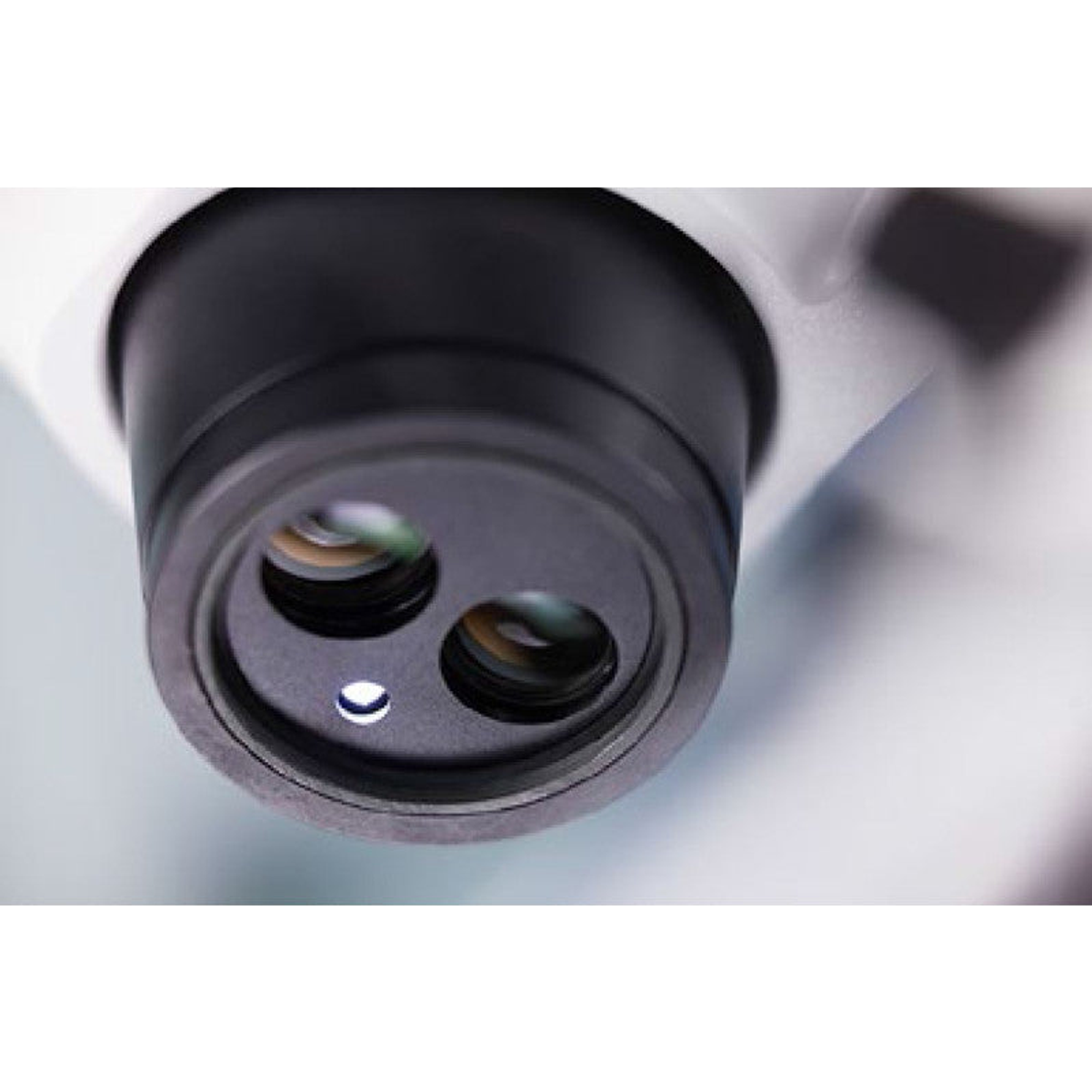 Microscope stéréoscopique à zoom Stemi 305 MAT trino ESD 8x-40x - ZEISS