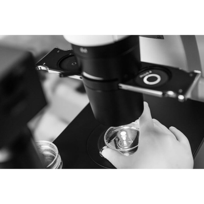 Microscope inversé trinoculaire Primovert PH1 40x-400x - ZEISS