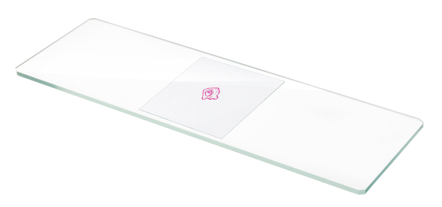 Levenhuk G100 Cover Slips, 100 pcs